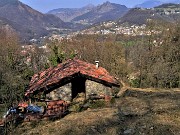 Sentieri fioriti sopra casa ad anello-Zogno-28mar22 - FOTOGALLERY